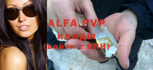 ГАЛЛЮЦИНОГЕННЫЕ ГРИБЫ Корсаков
