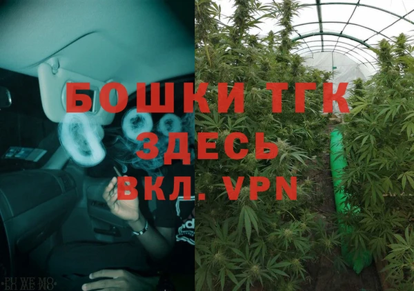 ГАЛЛЮЦИНОГЕННЫЕ ГРИБЫ Корсаков