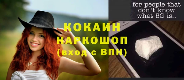 ГАЛЛЮЦИНОГЕННЫЕ ГРИБЫ Корсаков