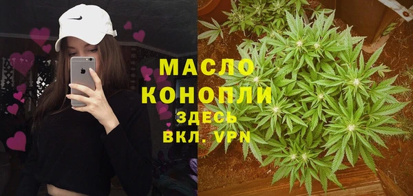 СК Коряжма