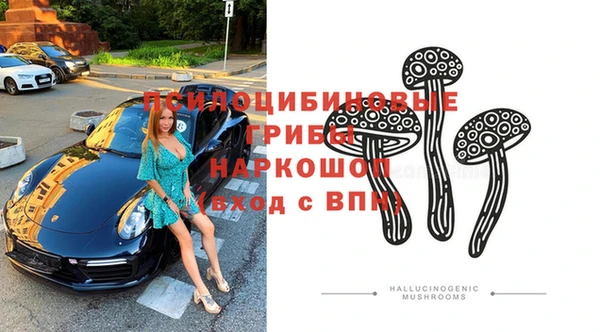 СК Коряжма