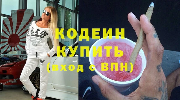 ГАЛЛЮЦИНОГЕННЫЕ ГРИБЫ Корсаков