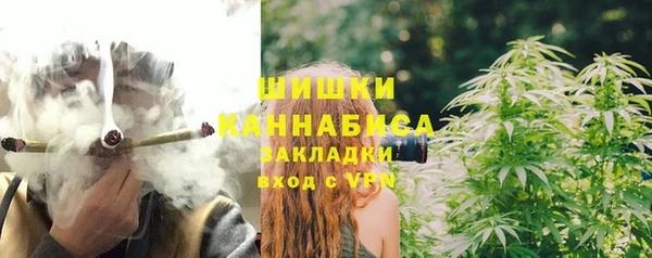 ГАЛЛЮЦИНОГЕННЫЕ ГРИБЫ Корсаков