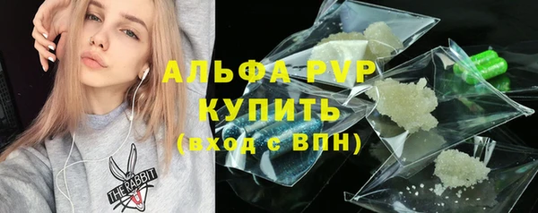 СК Коряжма