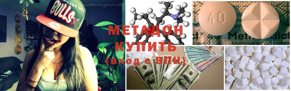 ГАЛЛЮЦИНОГЕННЫЕ ГРИБЫ Корсаков
