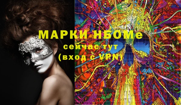 СК Коряжма