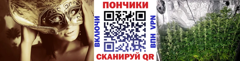 Купить закладки  Приволжск  Конопля LSD WEED 